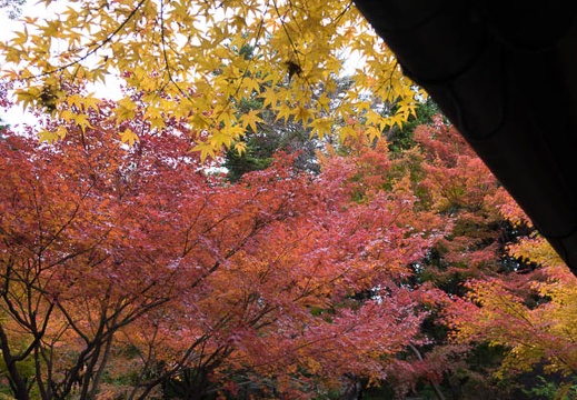 201512061143-DSC02477RX10.jpg