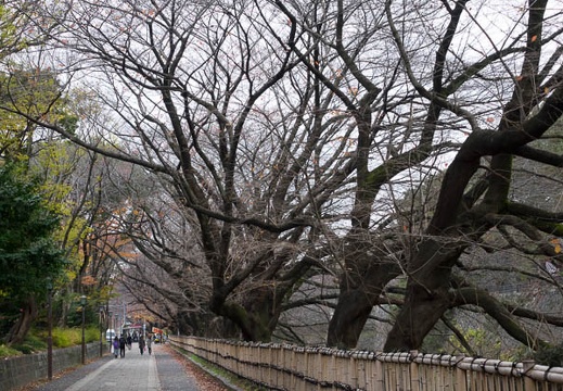 201512061339-DSC02684RX10.jpg