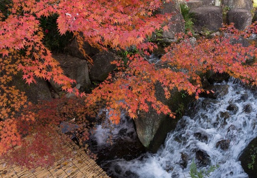 201512091335-DSC01351.jpg