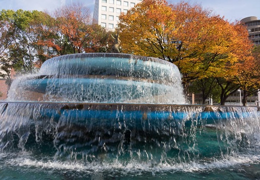201512131346-DSC03033RX10.jpg