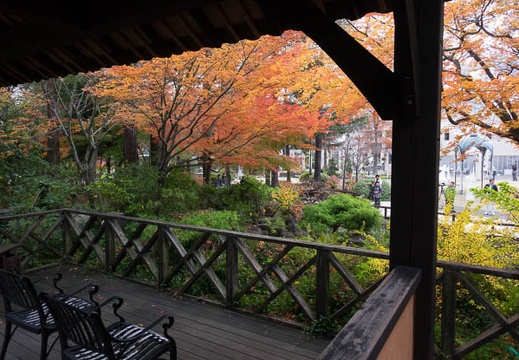 201512131531-DSC03105RX10.jpg
