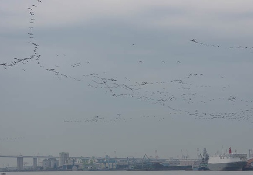 201512141134-DSC01645.jpg