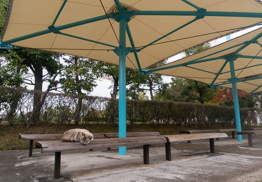 201512141156-DSC02667N6.jpg