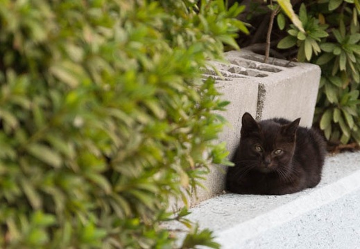 201512141325-DSC01820.jpg