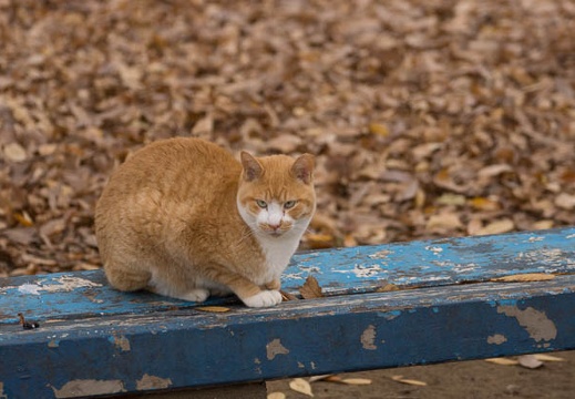 201512141457-DSC01861.jpg