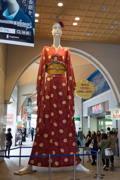 201512291325-DSC03717RX10.jpg