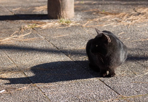 201512301321-DSC02266.jpg