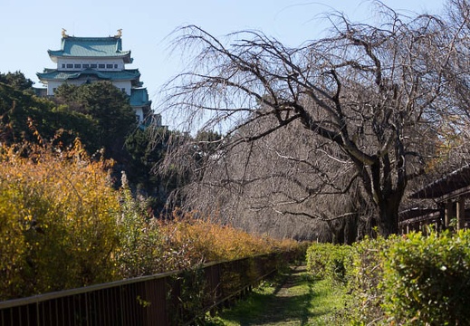 201512301323-DSC02272.jpg