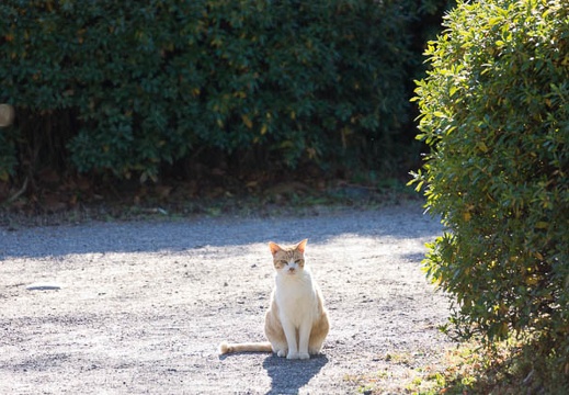 201512301352-DSC02362.jpg