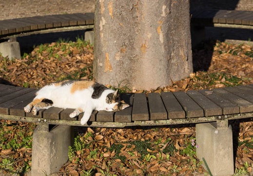 201512301510-DSC02430.jpg