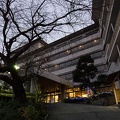 201512311705-DSC03786RX10.jpg