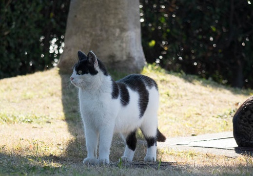 201601161039-DSC04244RX10.jpg