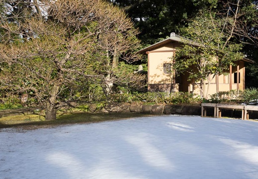 201601201510-DSC04335.jpg