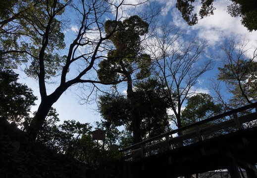 201601201514-DSC04342.jpg