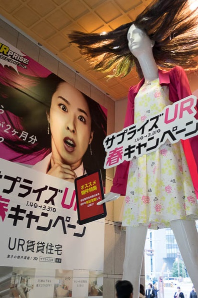 201601231549-DSC04785RX10.jpg