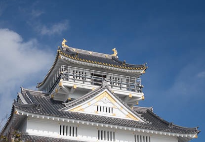 201601251311-DSC04857RX10.jpg