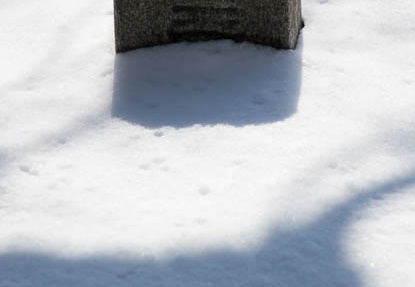 201601251316-DSC04872RX10.jpg