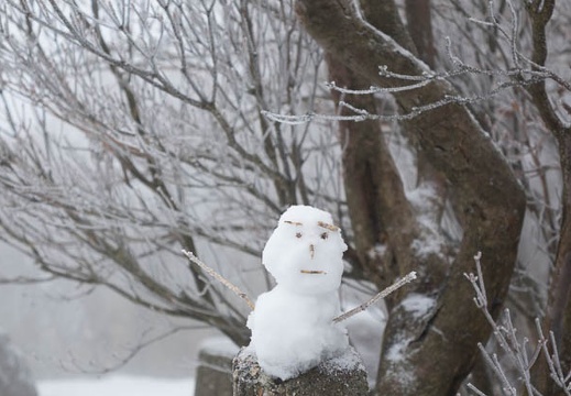 201602011039-DSC05095RX10.jpg