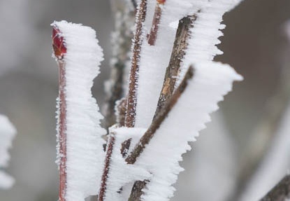 201602011102-DSC05160RX10.jpg