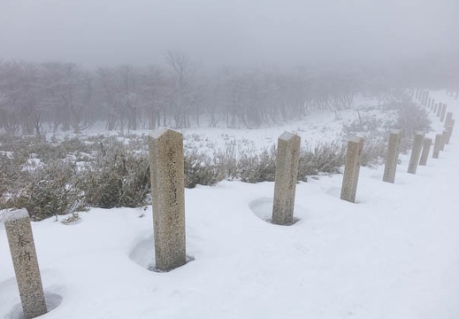 201602011212-DSC05205RX10.jpg