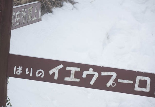 201602011237-DSC05231RX10.jpg