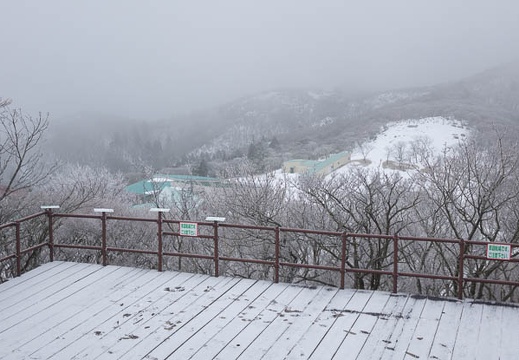 201602011302-DSC05275RX10.jpg