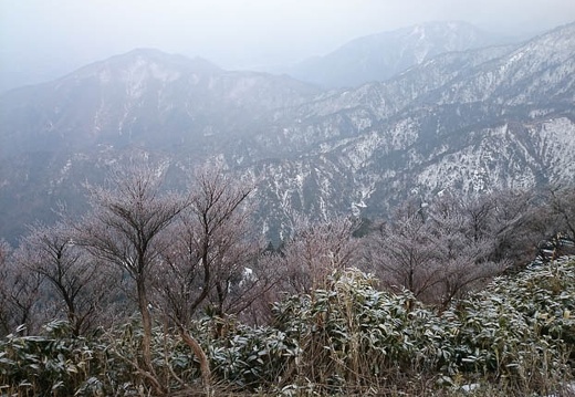 20160201133621-C6903.jpg