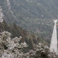 201602011350-DSC05344RX10.jpg