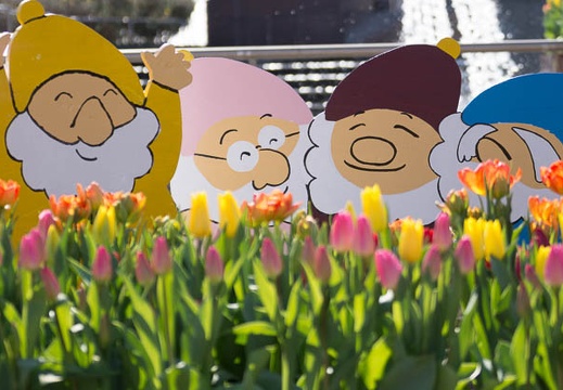 02.02 ウィンターチューリップ祭