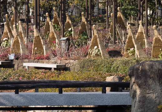 201602041413-DSC03675.jpg