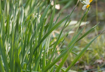 201602041512-DSC03772.jpg