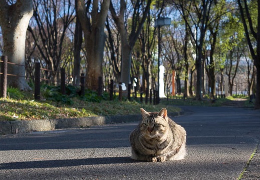 201602071550-DSC05571RX10.jpg