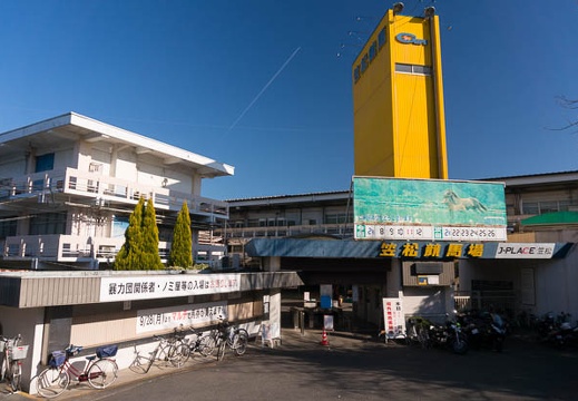 201602111449-DSC03556N6.jpg
