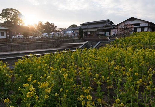 201602210721-DSC03601N6.jpg
