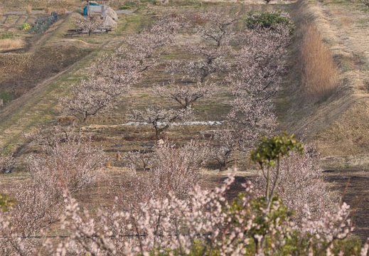 201602210757-DSC04547.jpg