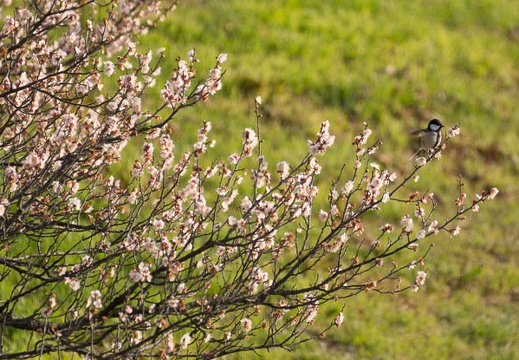 201602210814-DSC04566.jpg