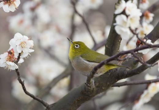 201602210914-DSC04720.jpg