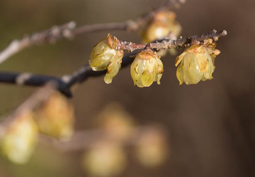201602211514-DSC04828.jpg