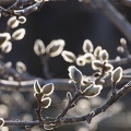 201602211552-DSC04857.jpg