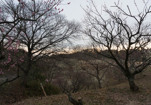 201602220738-DSC03704N6.jpg