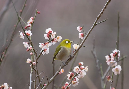 201602220751-DSC04882.jpg