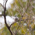 201602220824-DSC04910.jpg
