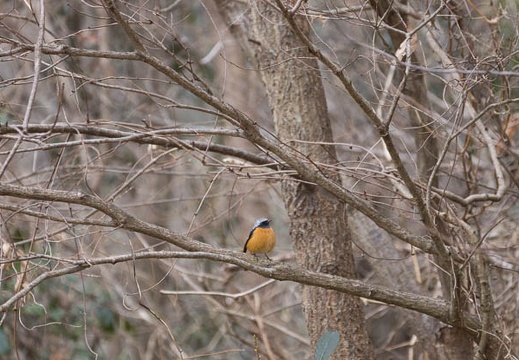 201602220848-DSC04931.jpg