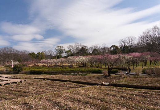 201602231249-DSC03748N6.jpg
