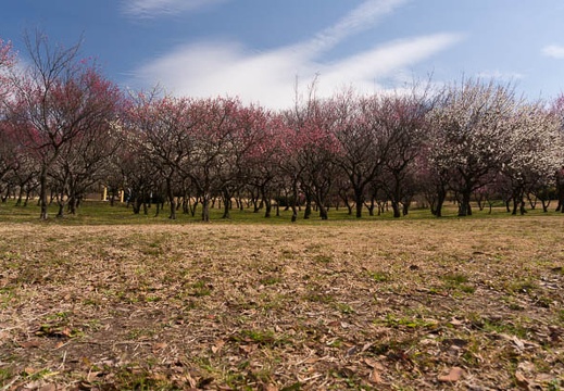 201602231257-DSC03767N6.jpg