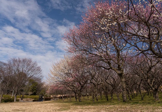 201602231301-DSC03783N6.jpg