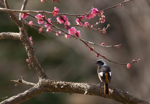 02.23 大高緑地公園
