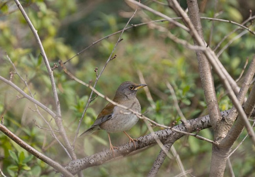 201602231407-DSC05195.jpg