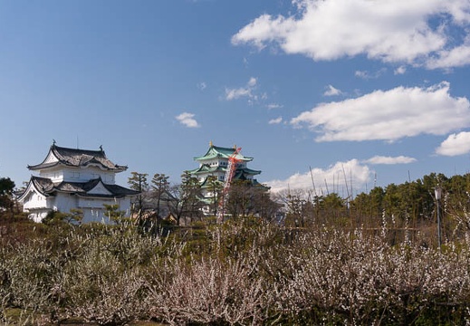 201602251420-DSC03837N6.jpg
