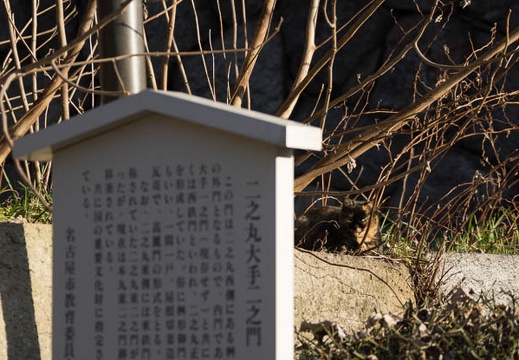201602251621-DSC05435.jpg